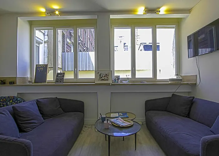 Cosyrouen Bouquet Parking Gratuit * Rouen